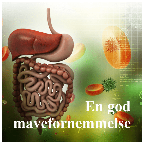 En god mavefornemmelse